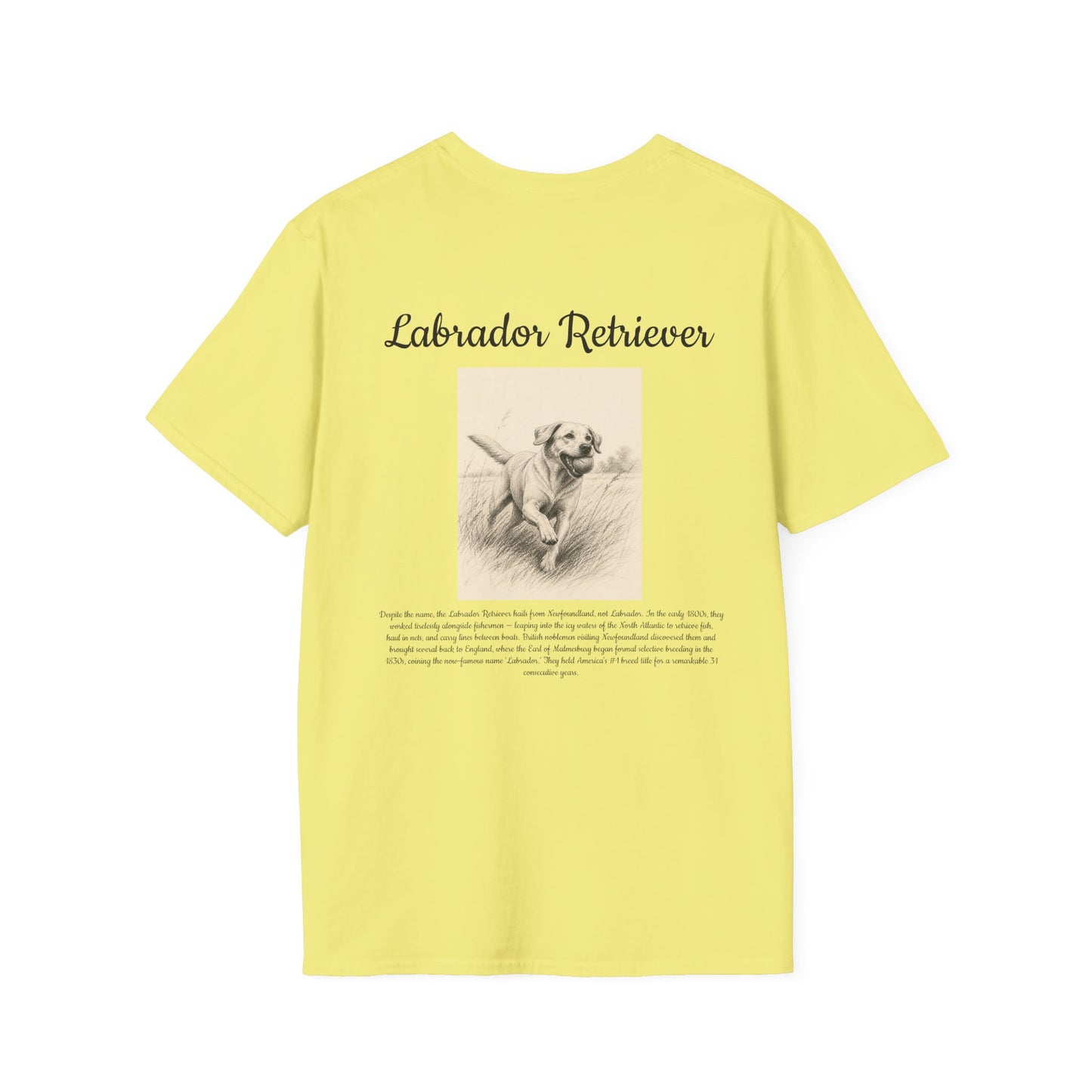 Labrador Retriever T-Shirt — Vintage Breed Art & History Gift