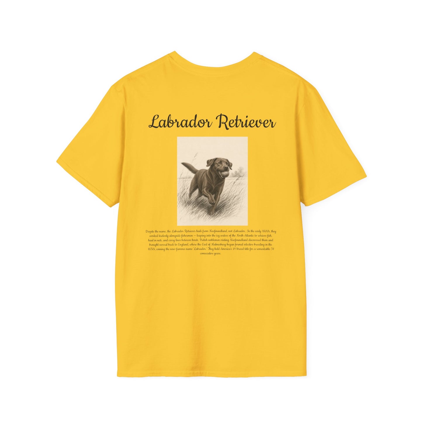 Labrador Retriever T-Shirt — Vintage Portrait Breed Tee