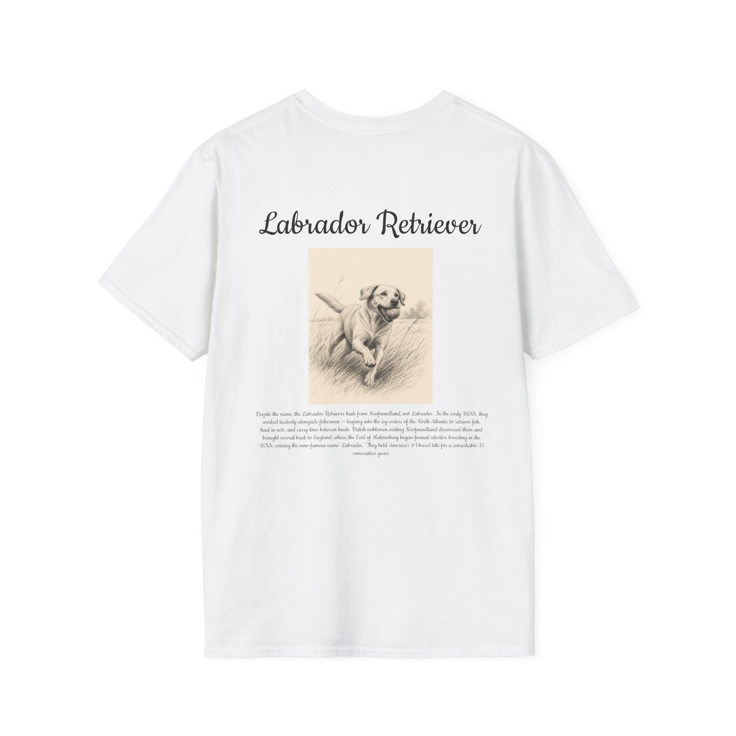 Labrador Retriever T-Shirt — Vintage Breed Art & History Gift
