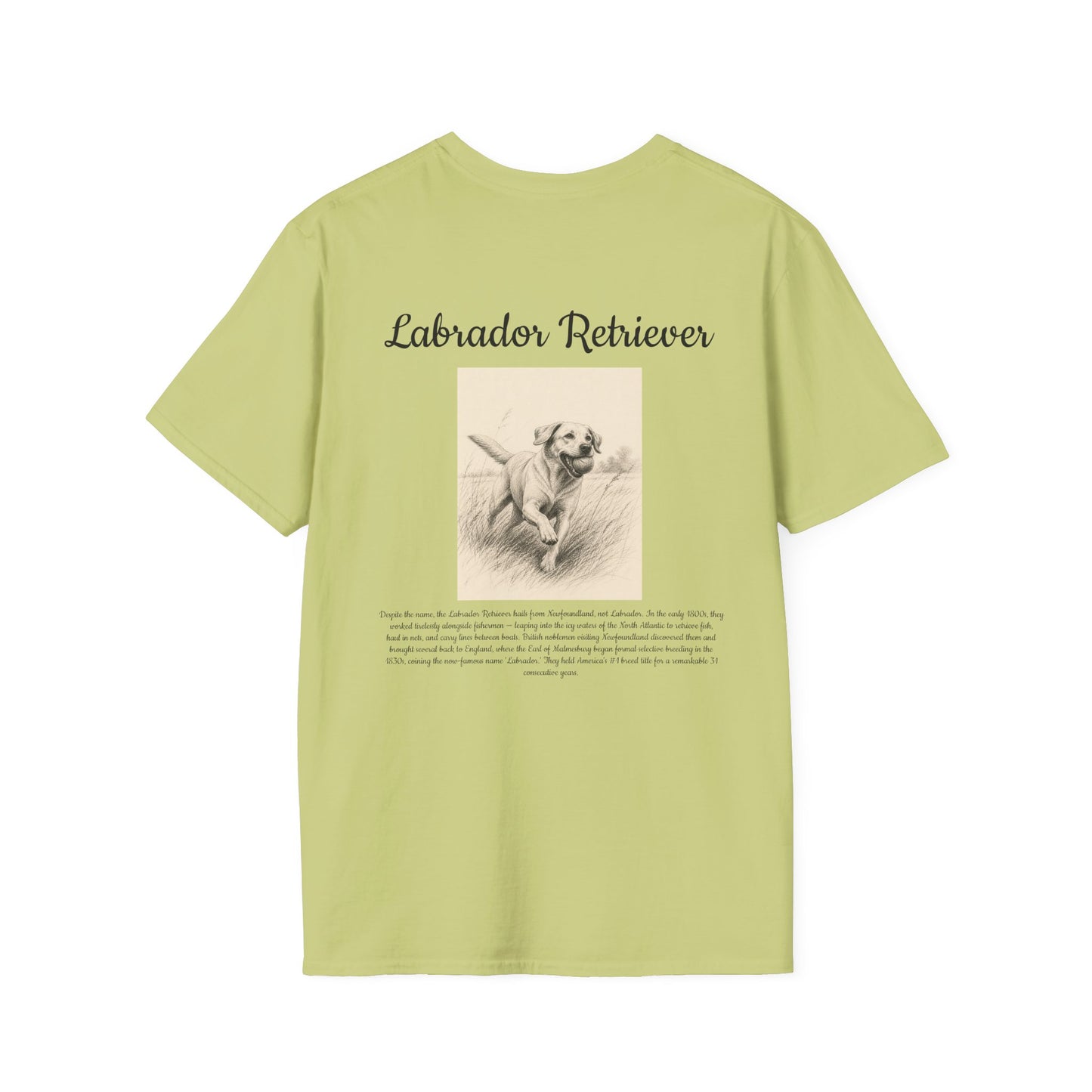 Labrador Retriever T-Shirt — Vintage Breed Art & History Gift