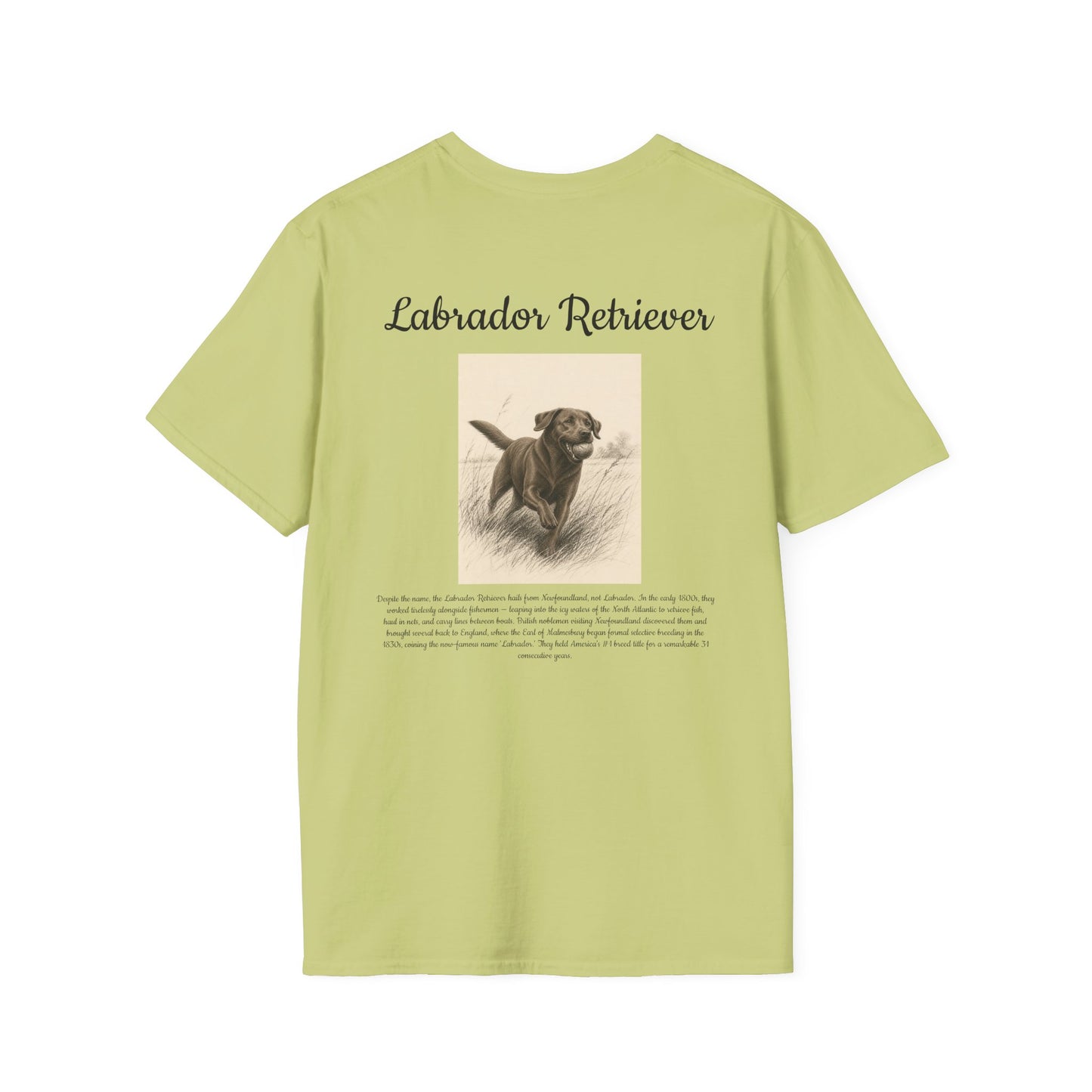 Labrador Retriever T-Shirt — Vintage Portrait Breed Tee