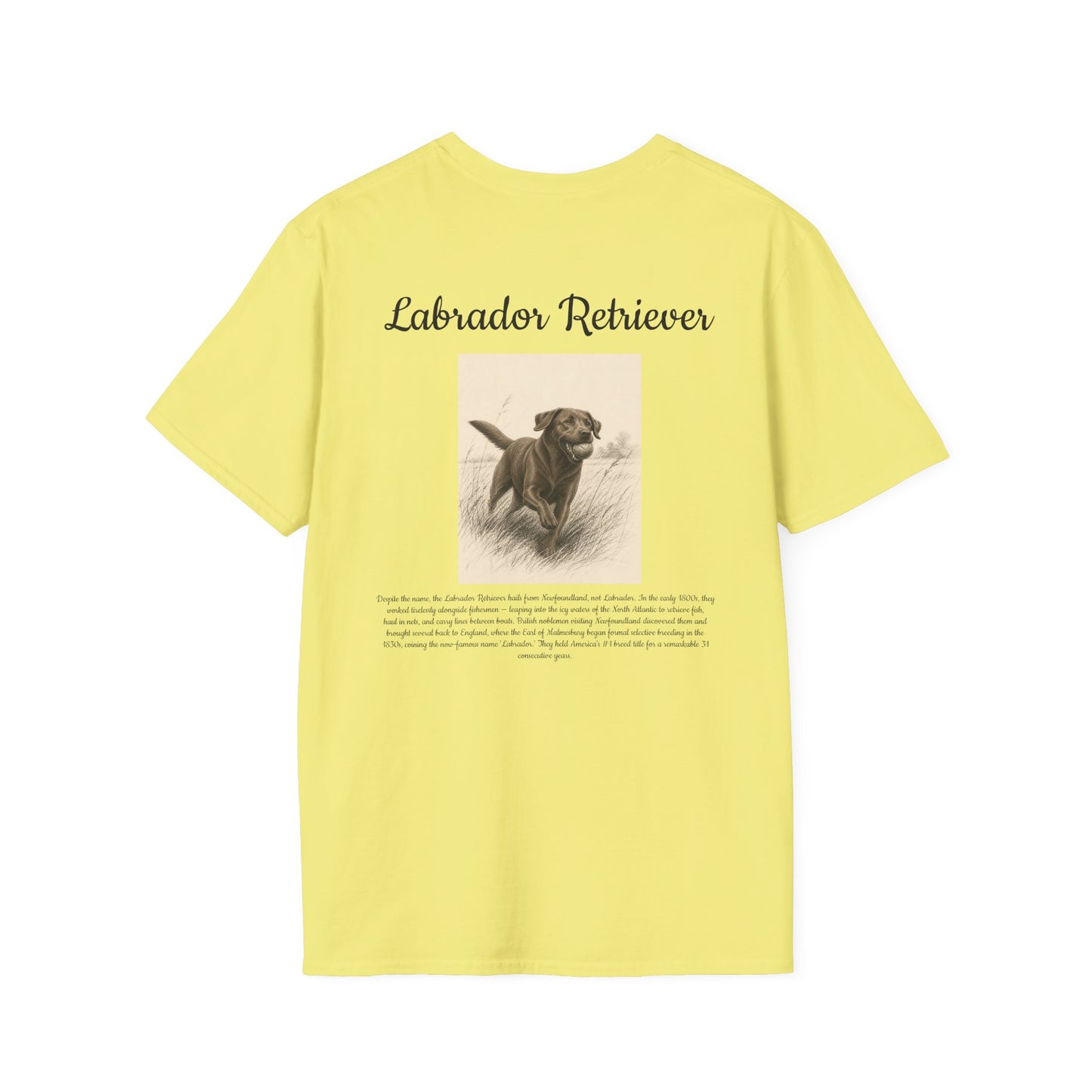 Labrador Retriever T-Shirt — Vintage Portrait Breed Tee