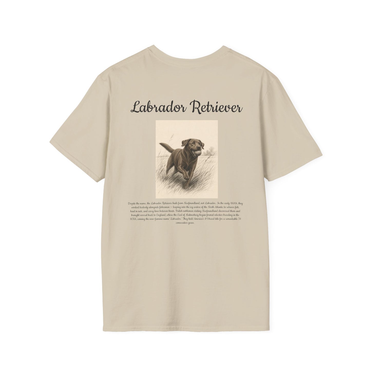 Labrador Retriever T-Shirt — Vintage Portrait Breed Tee