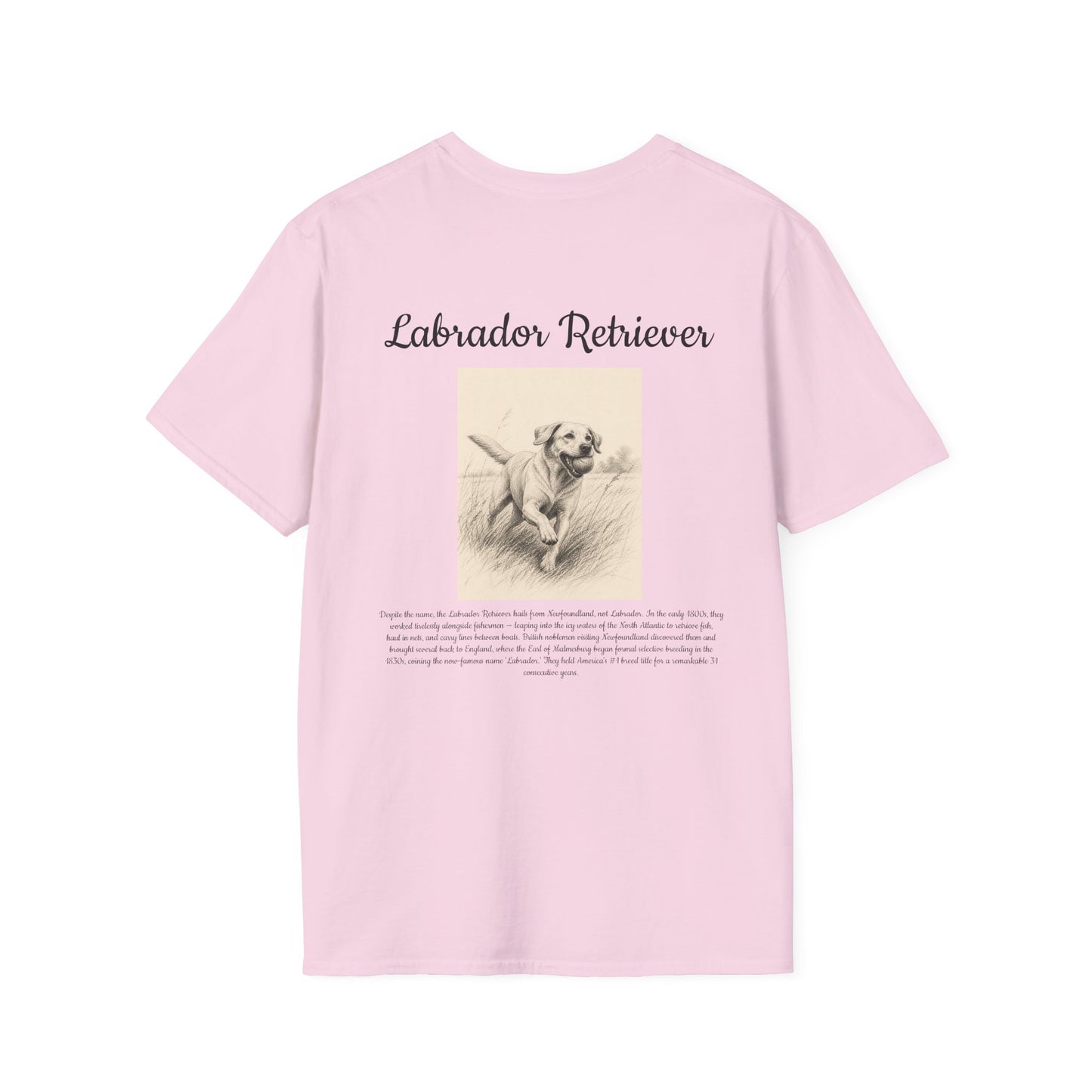 Labrador Retriever T-Shirt — Vintage Breed Art & History Gift