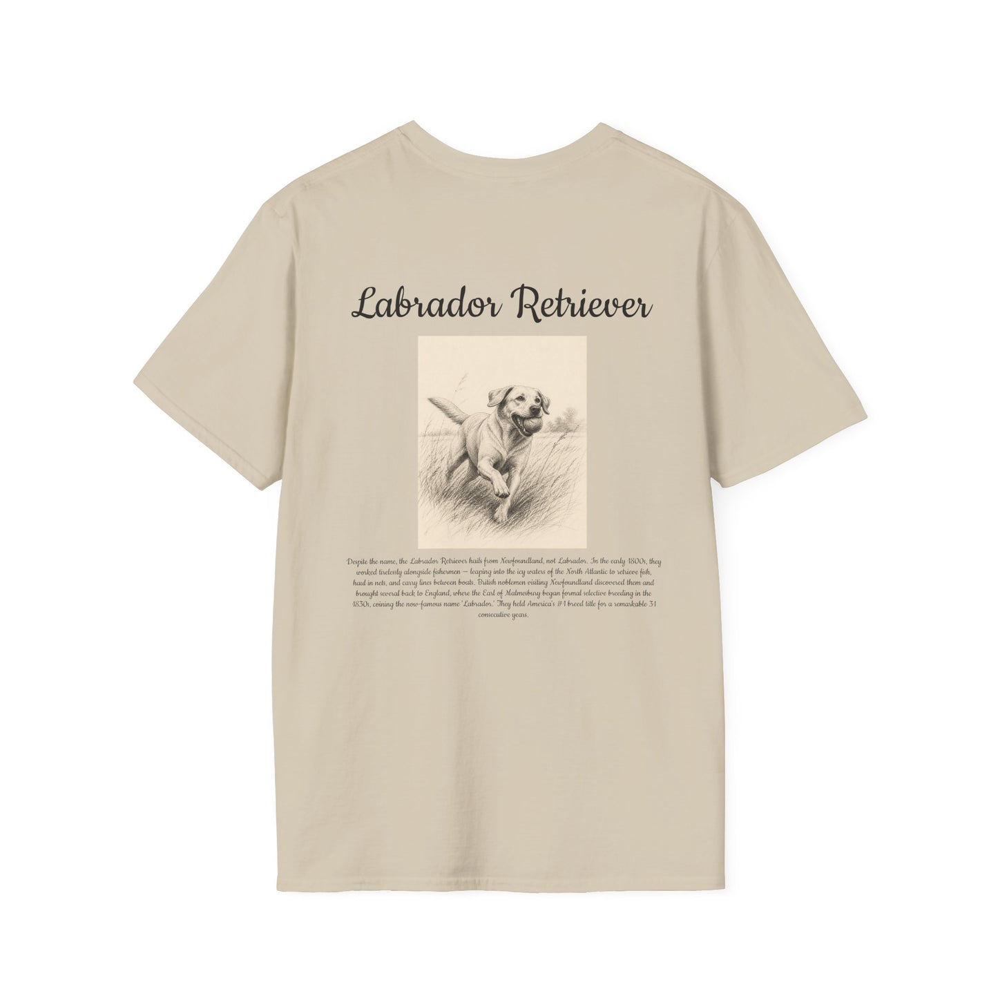 Labrador Retriever T-Shirt — Vintage Breed Art & History Gift