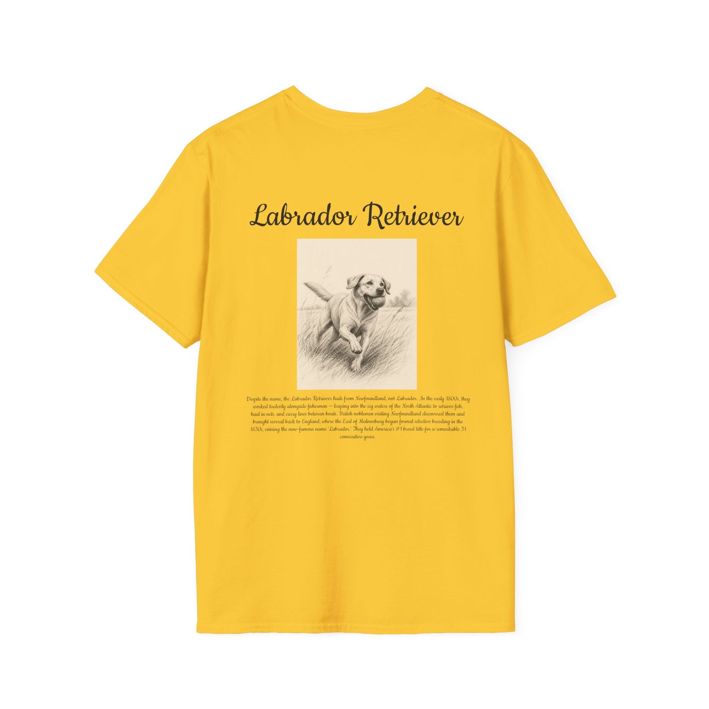 Labrador Retriever T-Shirt — Vintage Breed Art & History Gift